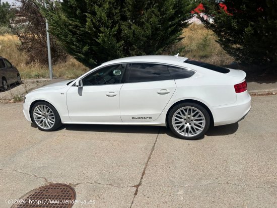 Audi A5 Sportback 2.0 TDI QUATTRO SLINE - Burgos