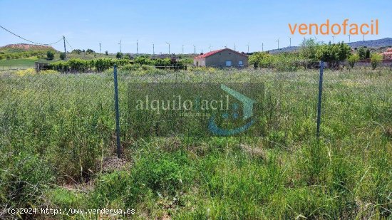 SE VENDE TERRENO RUSTICO EN POZO CAÑADA DE 1100 METROS CON AGUA Y LUZ POR 22000€