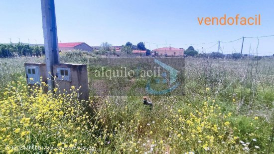 SE VENDE TERRENO RUSTICO EN POZO CAÑADA DE 1100 METROS CON AGUA Y LUZ POR 22000€