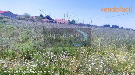 SE VENDE TERRENO RUSTICO EN POZO CAÑADA DE 1100 METROS CON AGUA Y LUZ POR 22000€