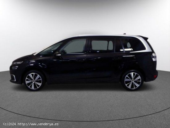 CITROEN C4 Spacetourer en venta en LalÃ­n (Pontevedra) - LalÃ­n