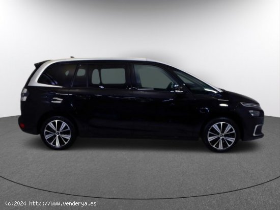 CITROEN C4 Spacetourer en venta en LalÃ­n (Pontevedra) - LalÃ­n