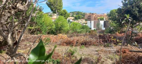 ✓Parcela Libre de Construcción en Moraira, Costa Blanca. - ALICANTE