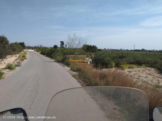 EN VENTA PARCELAS DE 16.000M2 ENTRE ELCHE Y MATOLA!! - ALICANTE