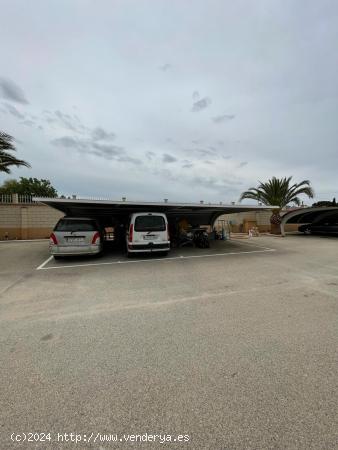 Chalet independiente para entrar a vivir (Alquiler) - ALICANTE