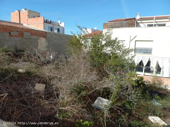 Solar Av Agricultura - BARCELONA