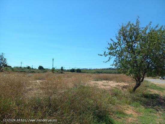  Terreno en venta en cami de Moja. - BARCELONA 