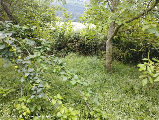 TERRENO URBANO EN EL VALLE DE MENA - BURGOS