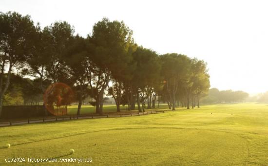 PARCELA URBANA EN URB TORRE EN CONILL PRIMERA LINEA DE GOLF - VALENCIA