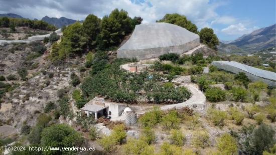 Se Vende en Callosa d'en Sarrià - ALICANTE