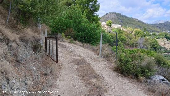 Se Vende en Callosa d'en Sarrià - ALICANTE