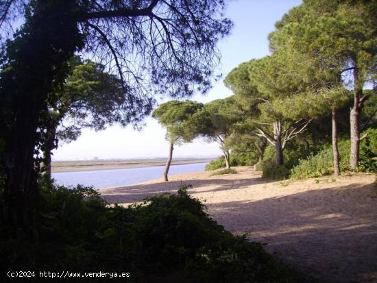 ALQUILER TEMPORADA ESCOLAR - CADIZ