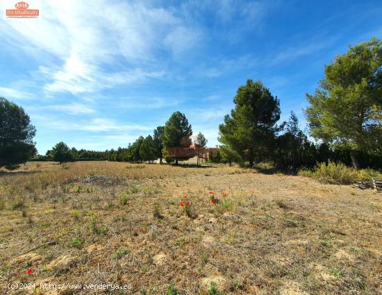 OCASIÓN!! TERRENO RUSTICO EN CASAS VIEJAS - ALBACETE