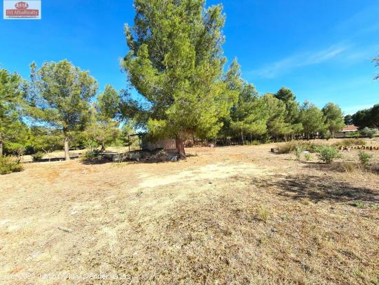 OCASIÓN!! TERRENO RUSTICO EN CASAS VIEJAS - ALBACETE