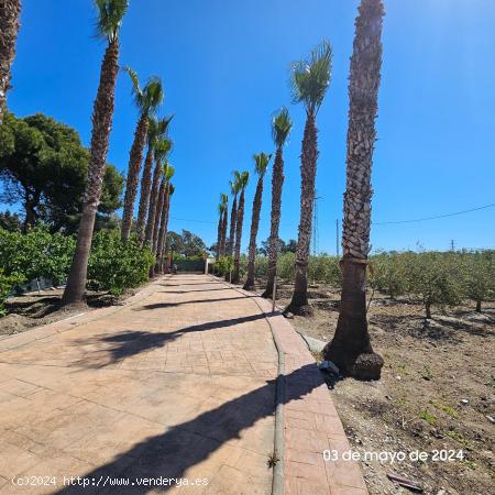 FINCA RUSTICA CON CASA, PISCINA Y TERRENO - TARRAGONA