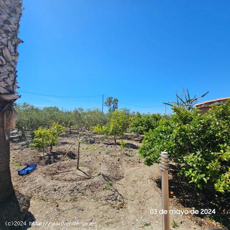 FINCA RUSTICA CON CASA, PISCINA Y TERRENO - TARRAGONA