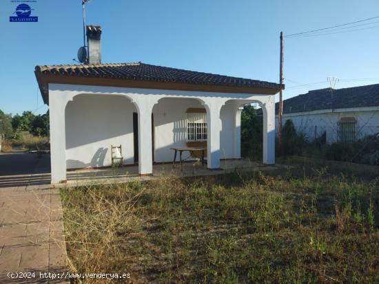  CHALET EN EL MARQUESADO - CADIZ 