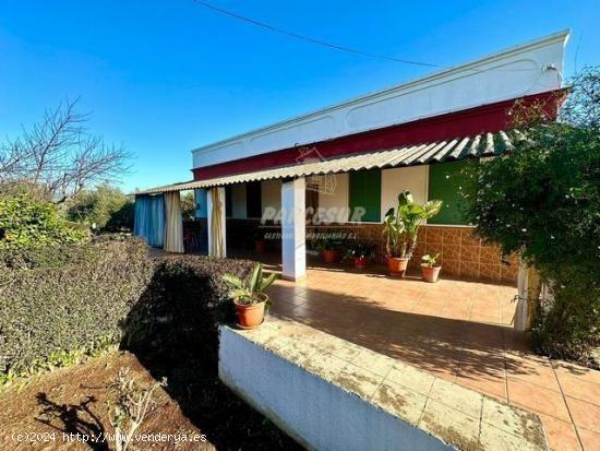 CORTIJO ZONA ENCINAREJO - Parcela de 9.800 m con casa, 2 salones camperos y nave. - CORDOBA