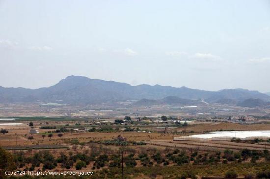  AMPLIA PARCELA RUSTICA LEIVA - MURCIA 