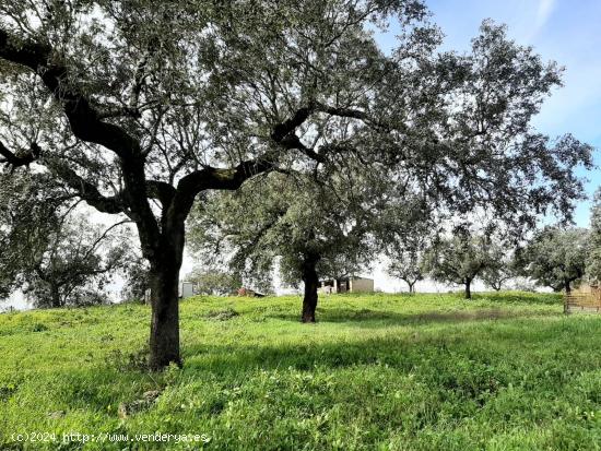 Preciosa finca con naves en Rincón de Ballesteros - CACERES