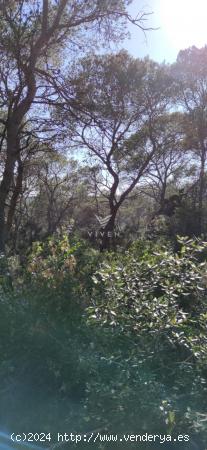 TERRENO EN URBANIZACIÓN CALIFORNIA - BARCELONA