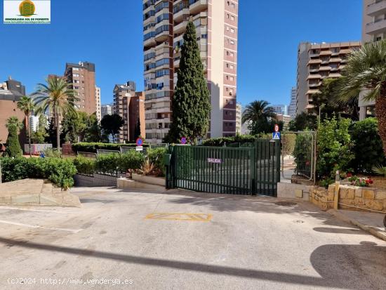 Apartamento con vistas al mar en Benidorm , playa Levante! - ALICANTE