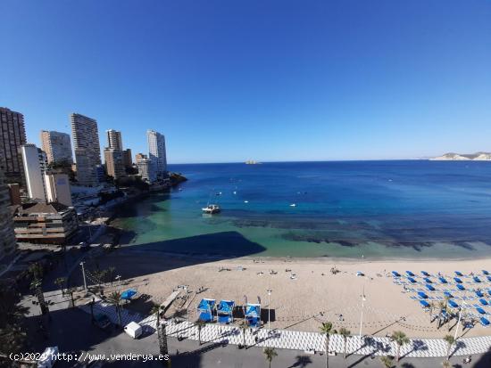  Apartamento de 2 Hab. y 2 baños, en primera linea de playa Levante. Licencia Turistica. - ALICANTE 