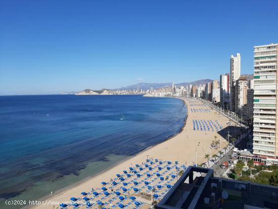 Apartamento de 2 Hab. y 2 baños, en primera linea de playa Levante. Licencia Turistica. - ALICANTE