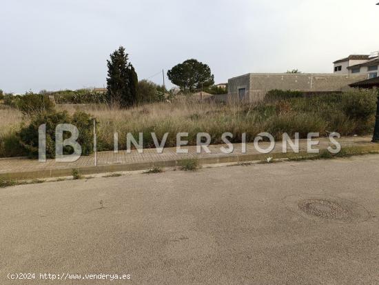 Terreno urbano en venta en Petra - BALEARES