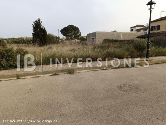 Terreno urbano en venta en Petra - BALEARES