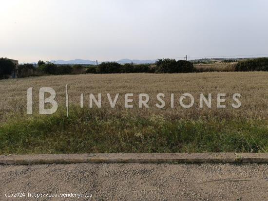 Terreno urbano en venta en Petra - BALEARES