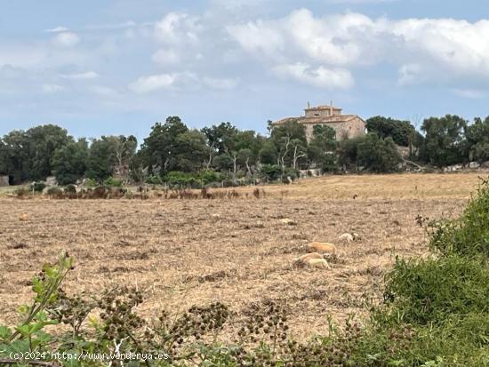 FINCA EN PORRERES DE 72720 M2 CON CASA DE 300 - BALEARES