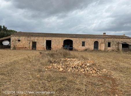 FINCA EN PORRERES DE 72720 M2 CON CASA DE 300 - BALEARES