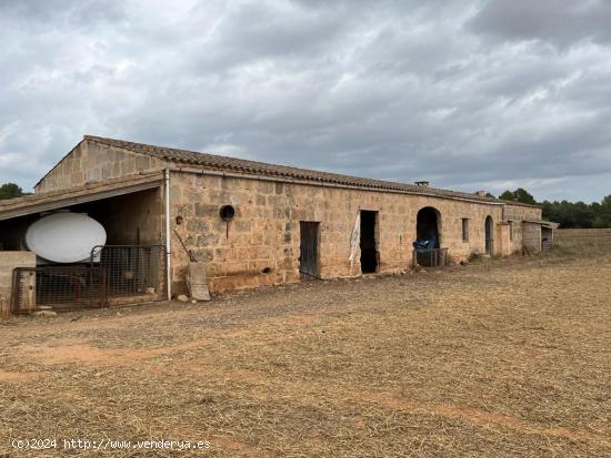 FINCA EN PORRERES DE 72720 M2 CON CASA DE 300 - BALEARES