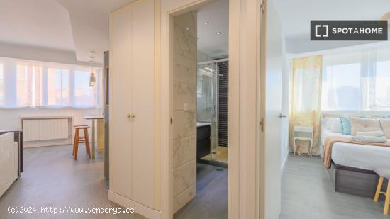 Apartamento entero de 1 habitaciones en Madrid - MADRID