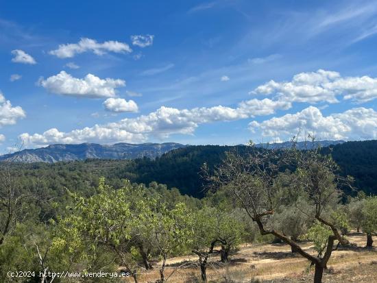 Maset en la montaña - TARRAGONA