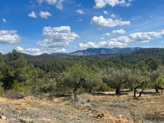 Maset en la montaña - TARRAGONA