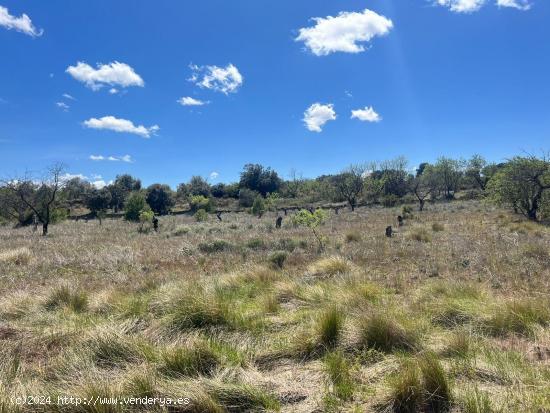 Terreno a recuperar - TERUEL