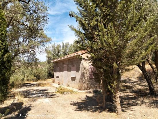 ¡Oportunidad Única en Murchas, Lecrín! Terreno Rural con Casa Tipo Estudio - GRANADA