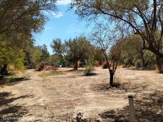 ¡Oportunidad Única en Murchas, Lecrín! Terreno Rural con Casa Tipo Estudio - GRANADA