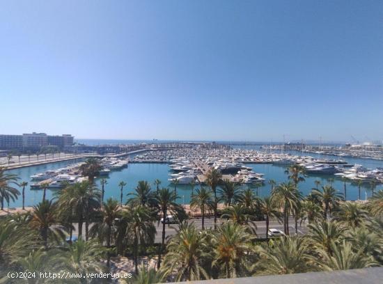 Fantástico piso en la explanada - ALICANTE