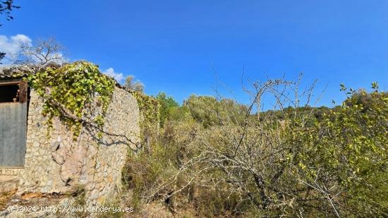 Finca rústica en Son Servera - BALEARES