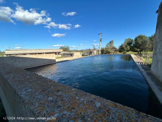 SE ALQUILA NAVE AGRARIA CON LUZ Y AGUA EN CAMPOS - BALEARES