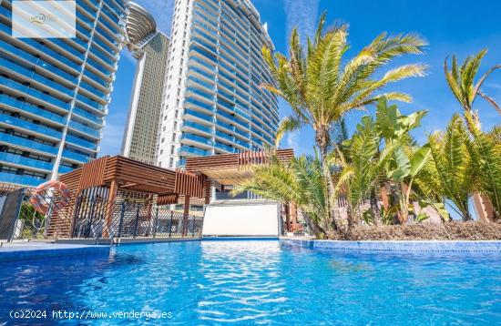 SE ALQUILA EL PISO EN SUNSET DRIVE CON VISTAS AL MAR EN PONIENTE, BENIDORM - ALICANTE