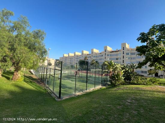 Alquiler Apartamento 1 dormitorio Playamar (Septiembre-Junio) - MALAGA