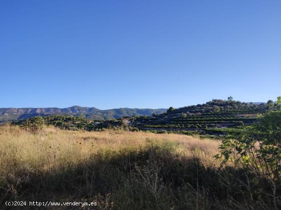 Terreno Rustico en Beniarbeig - ALICANTE