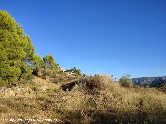 Terreno Rustico en Beniarbeig - ALICANTE