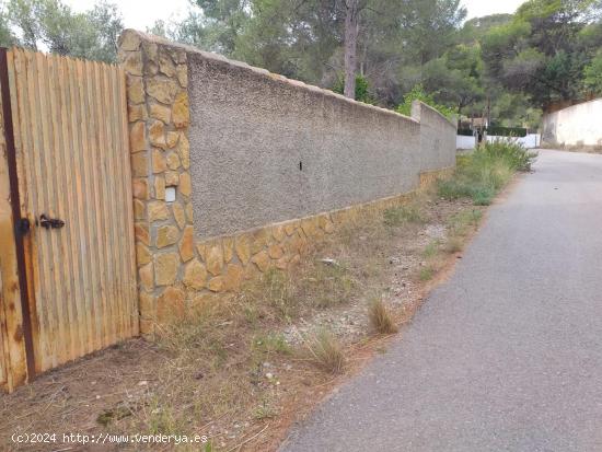 VENTA PÁRCELA URBANA EN URBANIZACIÓN LA CARRASCA,EN NÁQUERA.EXCELENTE OPORTUNIDAD! - VALENCIA