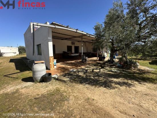  🌳 ¡Tu Refugio en la Naturaleza! Finca Rústica con Pozo y Olivos en Utrera, Sevilla 🏡 - SEVIL 