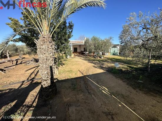 🌳 ¡Tu Refugio en la Naturaleza! Finca Rústica con Pozo y Olivos en Utrera, Sevilla 🏡 - SEVIL